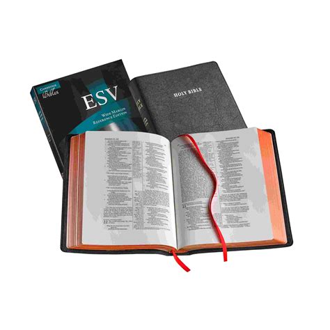 cambridge esv bible|More.